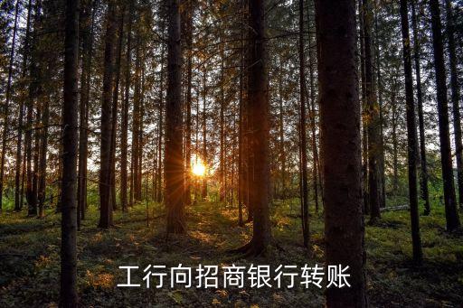 工行錢(qián)往招行打手續(xù)費(fèi)多少,工行卡轉(zhuǎn)招行卡需要手續(xù)費(fèi)嗎