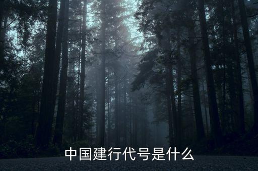 中國(guó)建行代號(hào)是什么