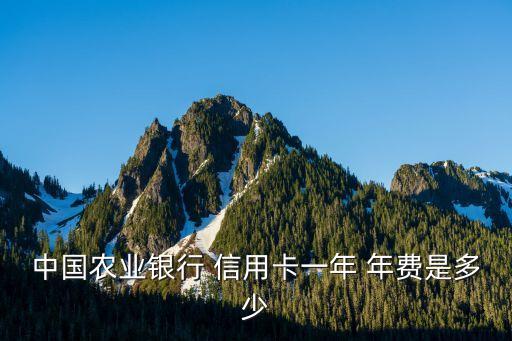 辦張信用卡年費(fèi)多少錢,辦了信用卡年費(fèi)多少