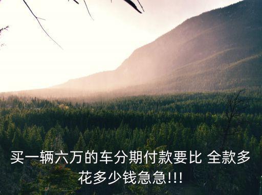買一輛六萬(wàn)的車分期付款要比 全款多花多少錢急急!!!