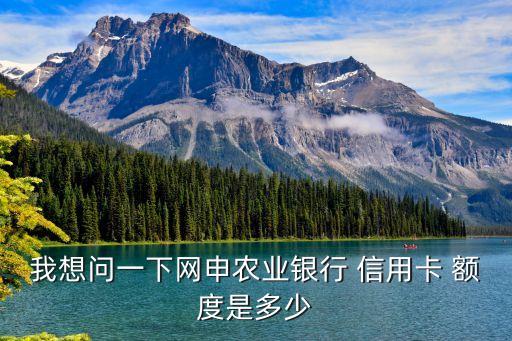 我想問一下網(wǎng)申農(nóng)業(yè)銀行 信用卡 額度是多少