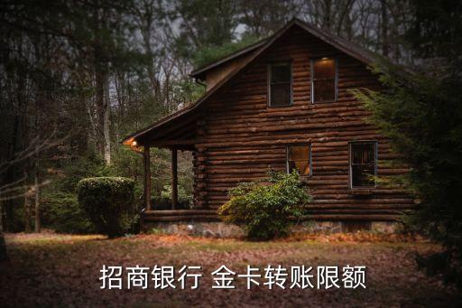  招商銀行 金卡轉(zhuǎn)賬限額