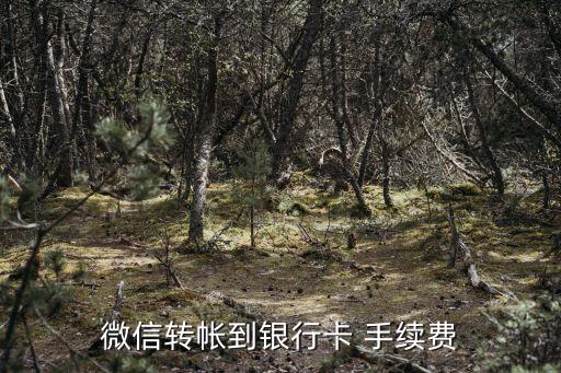 微信卡轉(zhuǎn)卡怎么轉(zhuǎn)賬怎么轉(zhuǎn)賬手續(xù)費(fèi)是多少