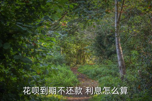 花唄到期不還款 利息怎么算