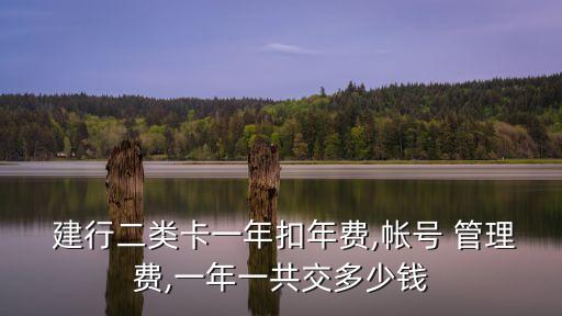  建行二類卡一年扣年費(fèi),帳號(hào) 管理費(fèi),一年一共交多少錢