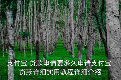 螞蟻貸可以貸款多少時間,螞蟻金服能貸款多少