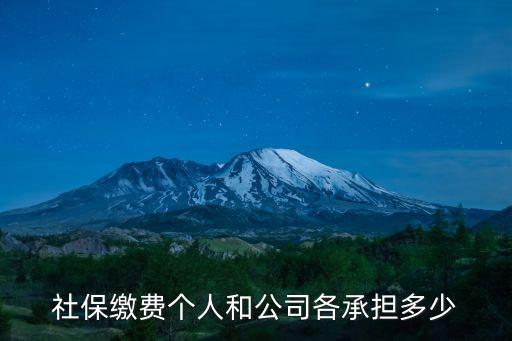 個人和企業(yè) 保險 花多少錢,保險企業(yè)承擔多少個人承擔多少