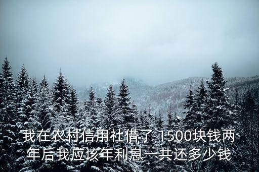 我在農(nóng)村信用社借了 1500塊錢兩年后我應(yīng)該年利息一共還多少錢