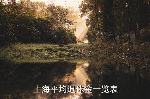 養(yǎng)老金上海一般多少錢一個(gè)月多少錢,上海養(yǎng)老金大概多少錢一個(gè)月