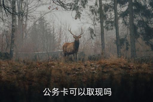  公務(wù)卡可以取現(xiàn)嗎