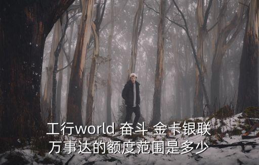  工行world 奮斗 金卡銀聯 萬事達的額度范圍是多少