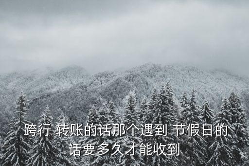  跨行 轉(zhuǎn)賬的話那個遇到 節(jié)假日的話要多久才能收到