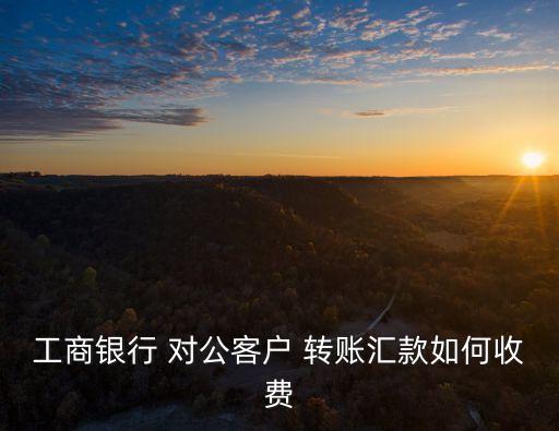 對(duì)公賬戶柜臺(tái)怎么轉(zhuǎn)賬手續(xù)費(fèi)是多少錢(qián)