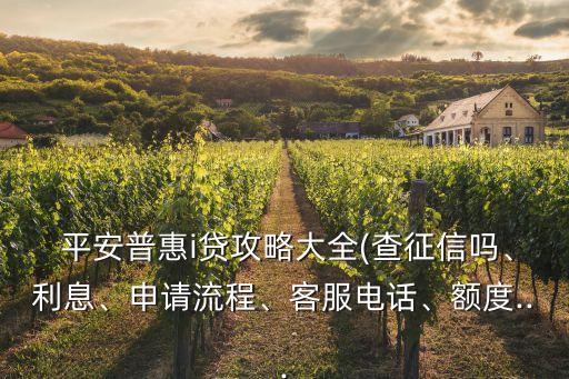  平安普惠i貸攻略大全(查征信嗎、利息、申請(qǐng)流程、客服電話、額度...