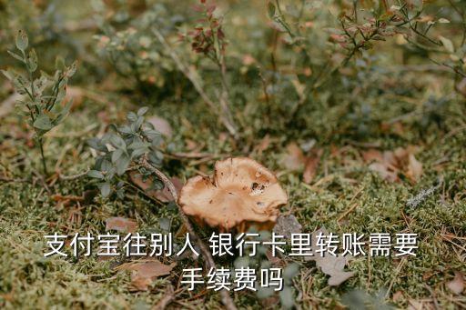 支付寶轉(zhuǎn)銀行卡收手續(xù)費多少,銀行卡提到支付寶收手續(xù)費嗎