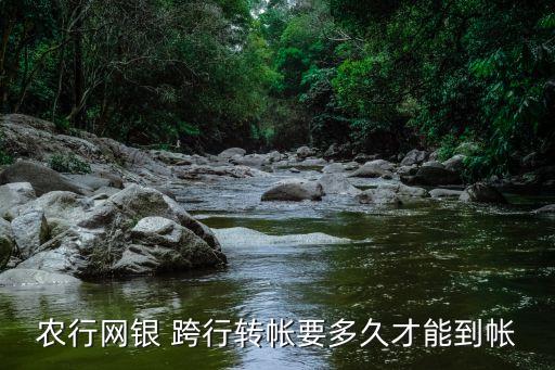 農(nóng)行網(wǎng)銀 跨行轉(zhuǎn)帳要多久才能到帳