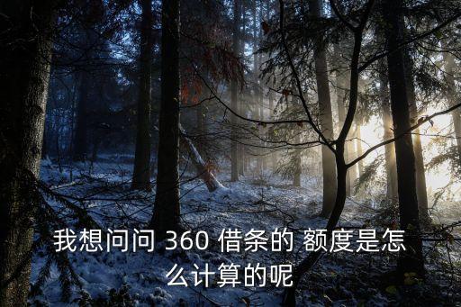 我想問問 360 借條的 額度是怎么計算的呢