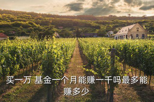 10000貨幣基金收益多少錢,場內(nèi)貨幣基金收益排名一覽表