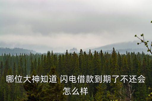 閃電貸款多少天還
