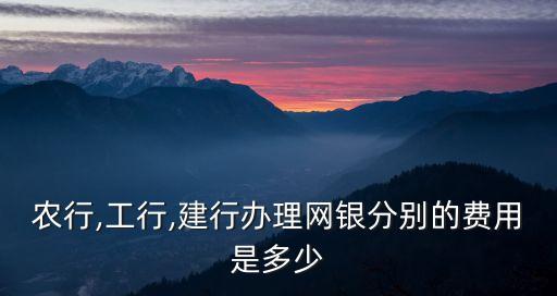 農(nóng)行,工行,建行辦理網(wǎng)銀分別的費用是多少