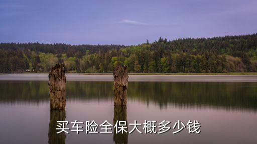 車全險(xiǎn)一般多少錢,全車保險(xiǎn)多少錢