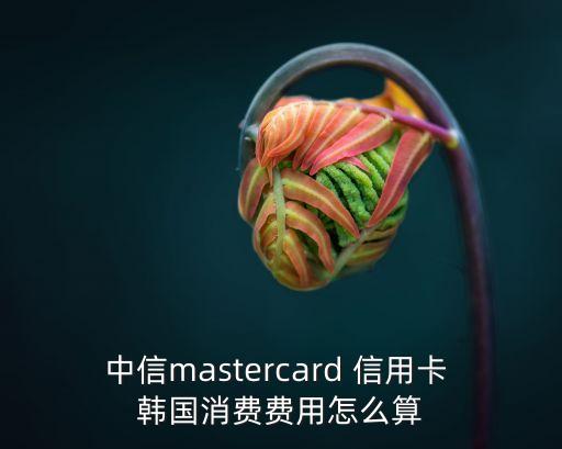 在韓國(guó)刷信用卡手續(xù)費(fèi)多少,信用卡刷10000多少手續(xù)費(fèi)