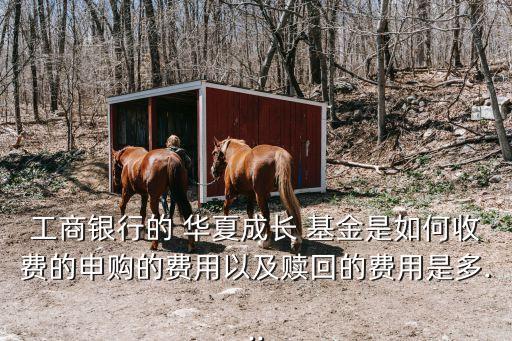 華夏紅利基金多少錢