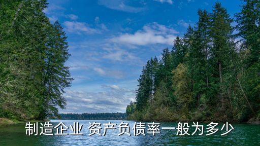 制造企業(yè) 資產(chǎn)負(fù)債率一般為多少
