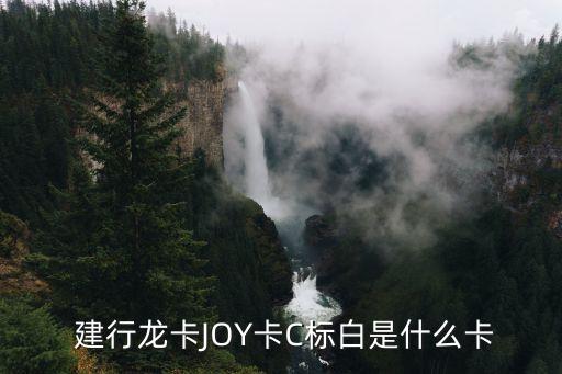 建行joy卡年費多少,建行卡年費是多少