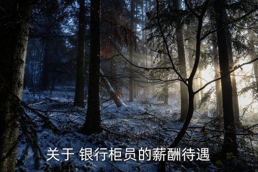 關(guān)于 銀行柜員的薪酬待遇