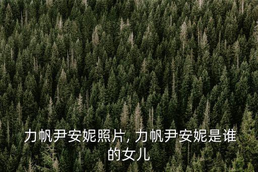 力帆股份馬云投資多少錢