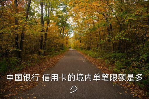 中行visa無(wú)限信用卡額度是多少,招商銀行visa無(wú)限信用卡 額度