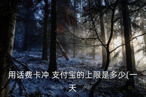 用話費卡沖 支付寶的上限是多少(一天