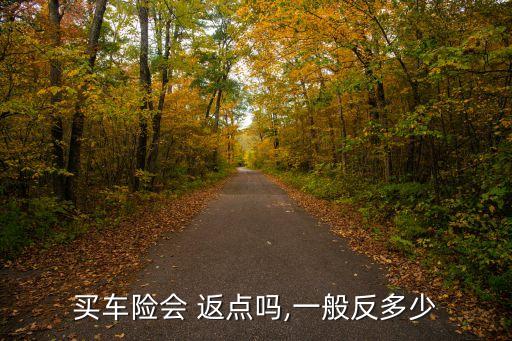 買車險(xiǎn)會(huì) 返點(diǎn)嗎,一般反多少