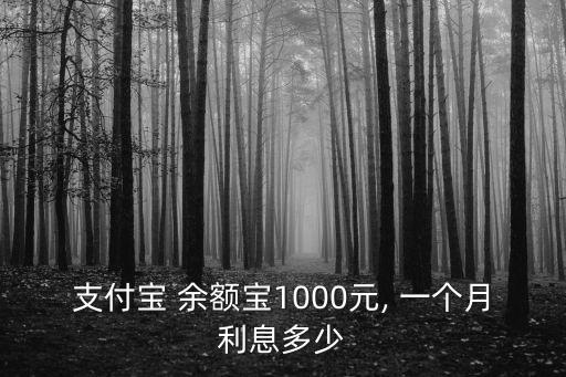 余額寶存一千一個(gè)月多少錢