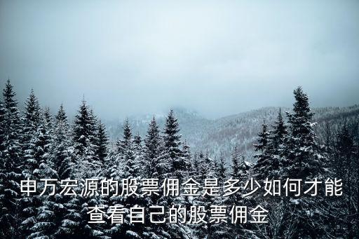  申萬宏源的股票傭金是多少如何才能查看自己的股票傭金