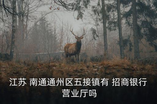 江蘇 南通通州區(qū)五接鎮(zhèn)有 招商銀行 營(yíng)業(yè)廳嗎