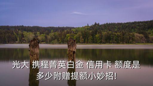 光大 攜程菁英白金 信用卡 額度是多少附贈提額小妙招!