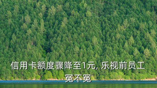 樂視欠了建行多少錢,欠建行錢不知道多少如何查詢