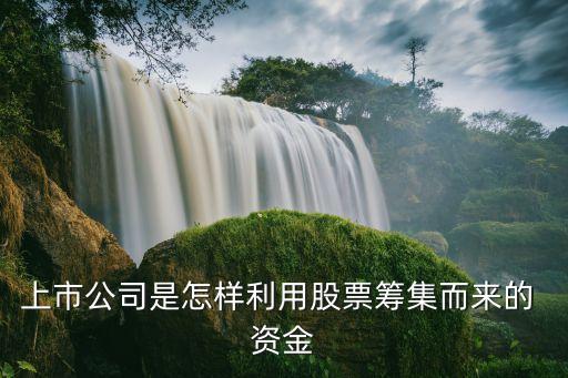 證大財(cái)富注冊(cè)資金多少