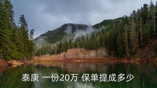 泰康 一份20萬(wàn) 保單提成多少