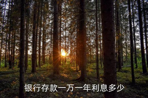  銀行存款一萬一年利息多少