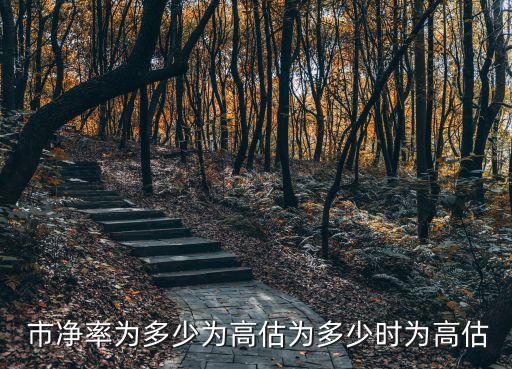 股價(jià)高時(shí)市凈率是多少