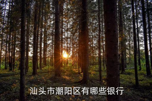 廣東省汕頭農(nóng)業(yè)銀行網(wǎng)點多少,汕頭農(nóng)業(yè)銀行龍湖區(qū)各網(wǎng)點