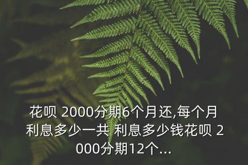 手機貸貸2000多少利息,手機微粒貸最多能貸多少