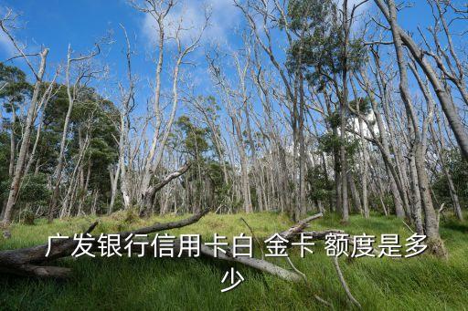 白金卡 廣發(fā) 額度一般多少錢,廣發(fā)基礎(chǔ)白金卡額度太低了