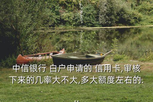 中信銀行 白戶申請(qǐng)的 信用卡,審核下來的幾率大不大,多大額度左右的...