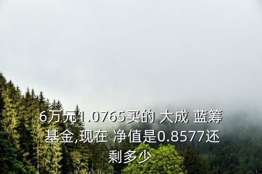 大成藍(lán)籌基金凈值是多少,090003大成藍(lán)籌基金今日凈值查詢