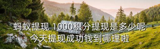 螞蟻提現(xiàn) 1000積分提現(xiàn)是多少呢今天提現(xiàn)成功錢到哪理啦