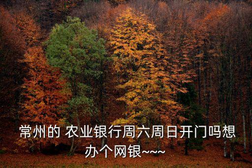  常州的 農業(yè)銀行周六周日開門嗎想辦個網(wǎng)銀~~~